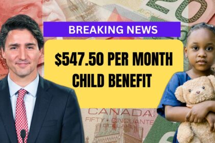 $547.50 Per Month Child Benefit